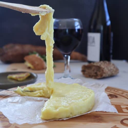 formaggi vegano filante senza soia