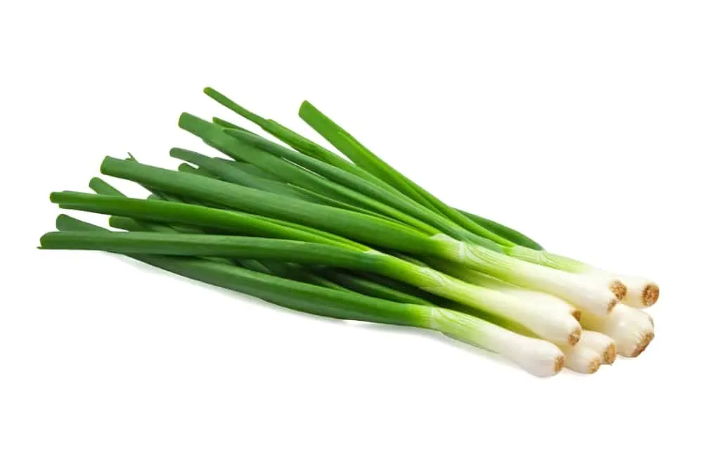Green Onion 